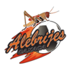 https://img.alanabacus.com/img/football/team/3beff6c4cd987d7f6b4470a0f0c05479.png